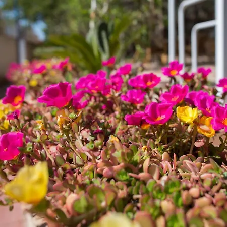 Sea Front 4 Beds With Balcony 250 Meters From The *